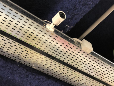 IMG-20181113-WA